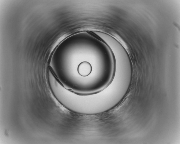 X0000096480909200802071917