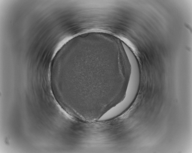 X0000096480910200802071917