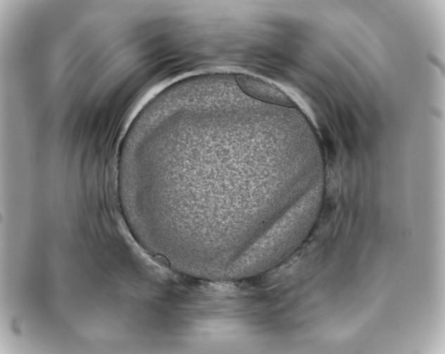 X0000096480911200802071917