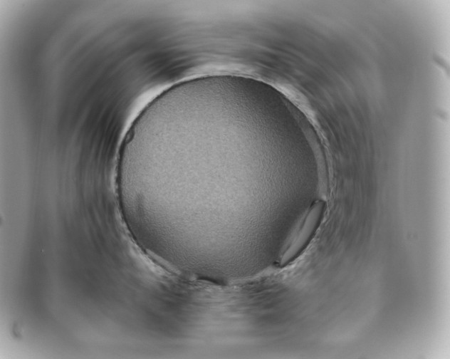 X0000096480912200802071917