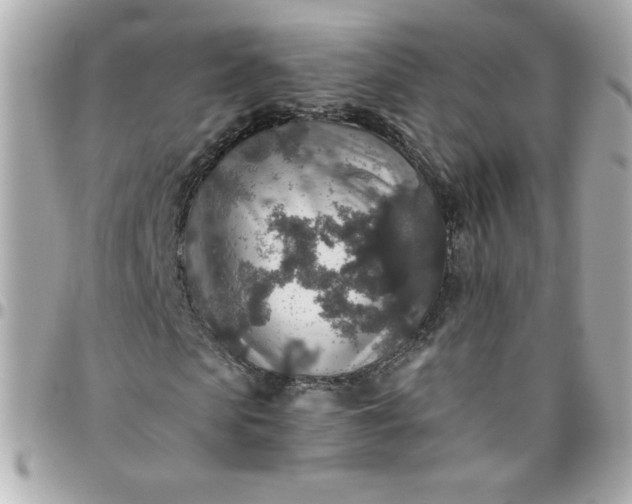 X0000096480913200802071916