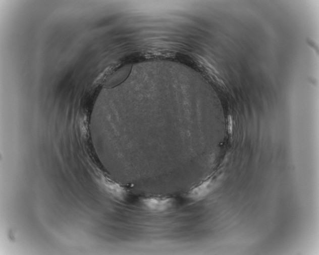 X0000096480915200802071916