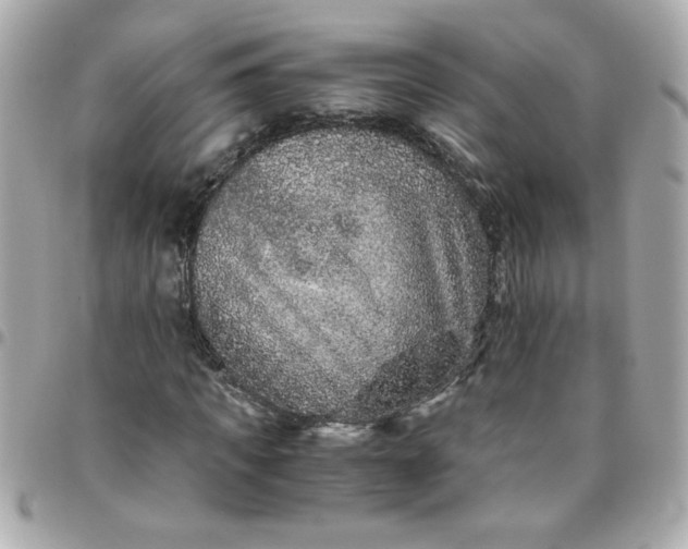 X0000096480917200802071916