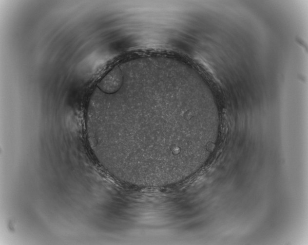 X0000096480918200802071916