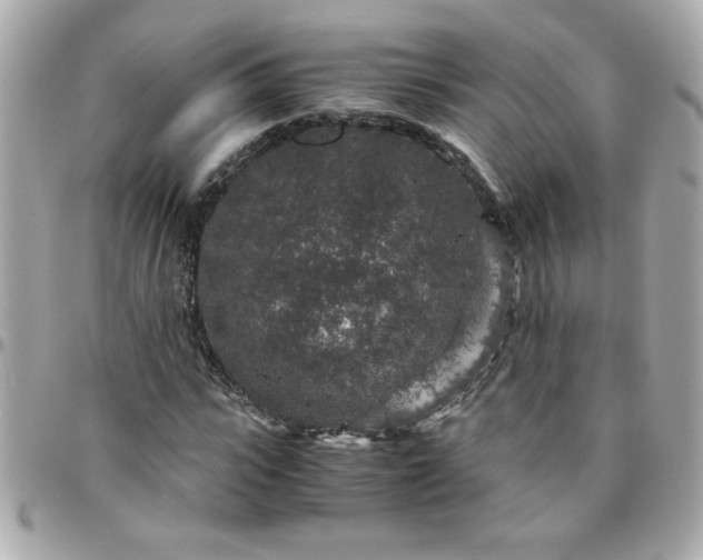 X0000096480919200802071916