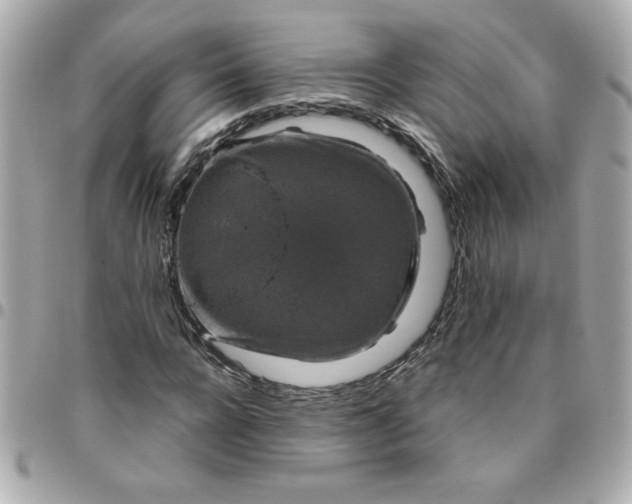 X0000096480920200802071916