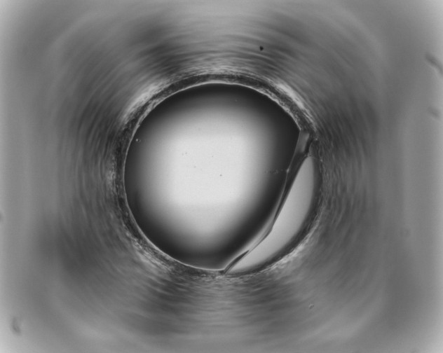 X0000096480922200802071916