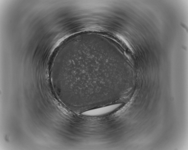 X0000096480923200802071916