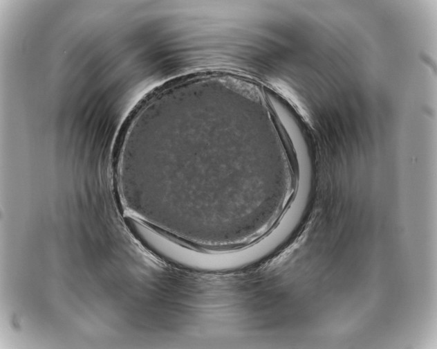 X0000096480924200802071916