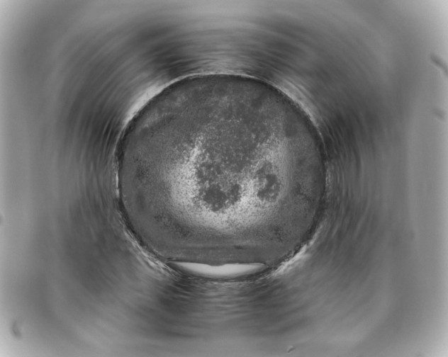 X0000096480925200802071916