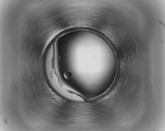 X0000096480926200802071916