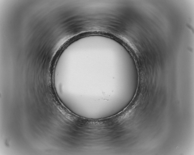 X0000096480927200802071916