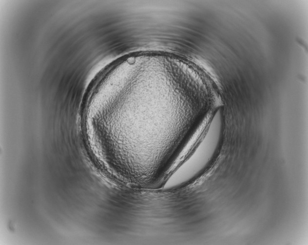 X0000096480928200802071916