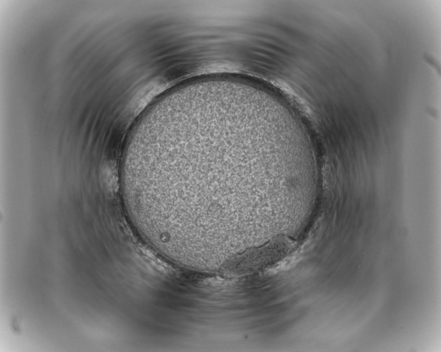 X0000096480929200802071916