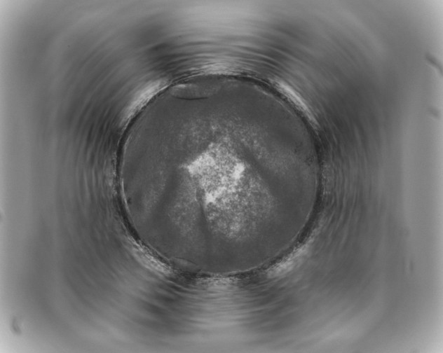 X0000096480930200802071916