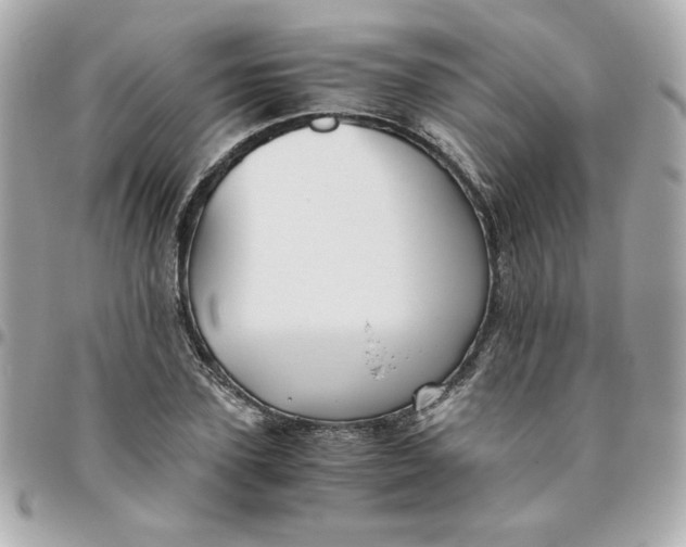 X0000096480931200802071916