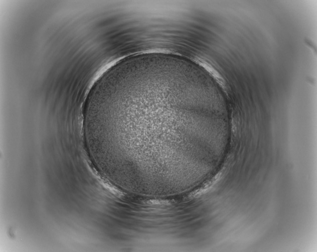 X0000096480933200802071916