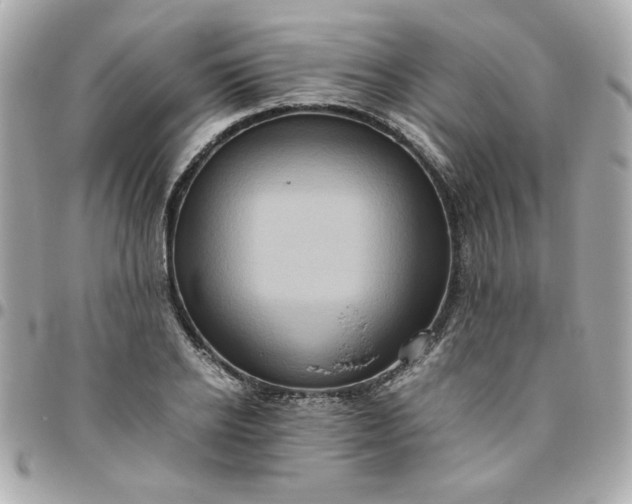 X0000096480934200802071916