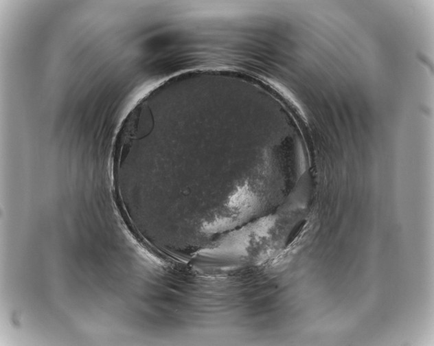 X0000096480935200802071916