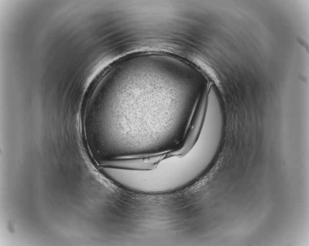 X0000096480936200802071916