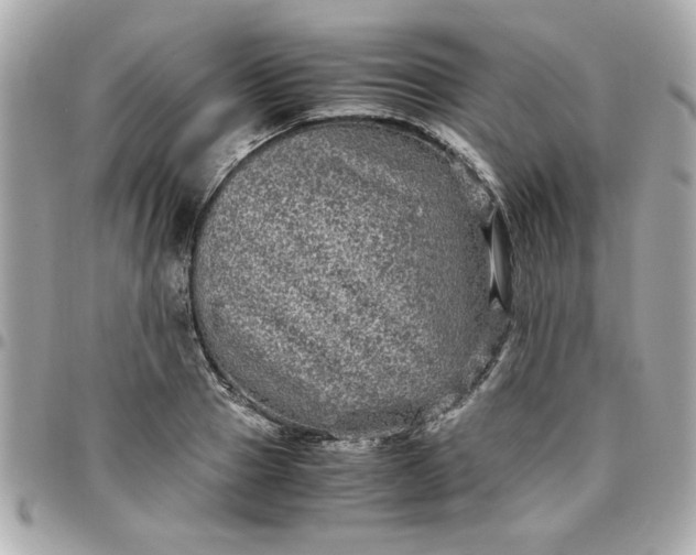 X0000096480937200802071916