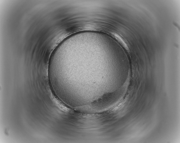 X0000096480938200802071916