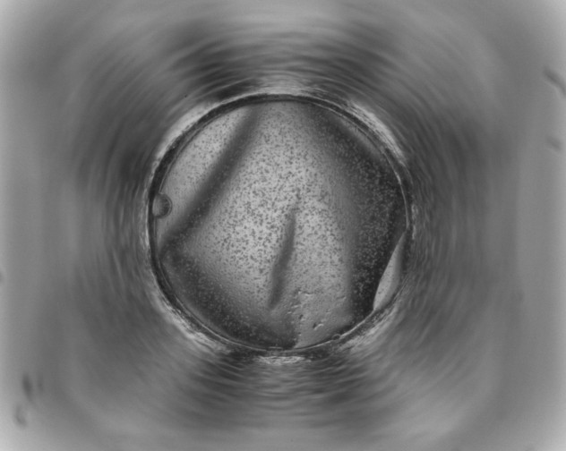 X0000096480939200802071916