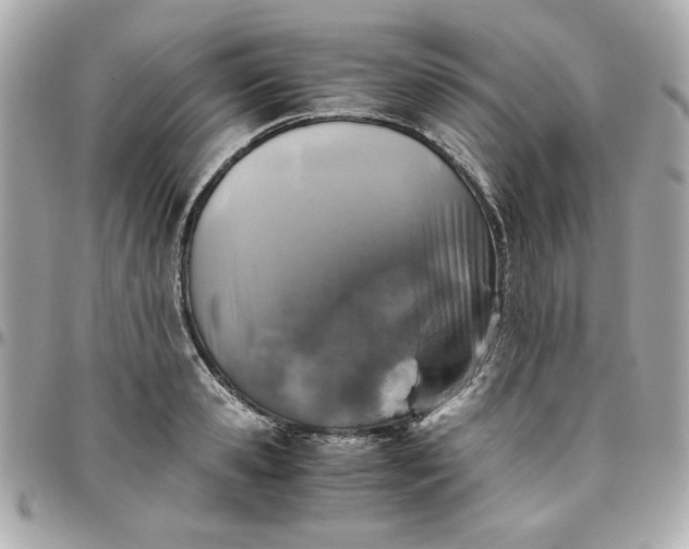 X0000096480941200802071916