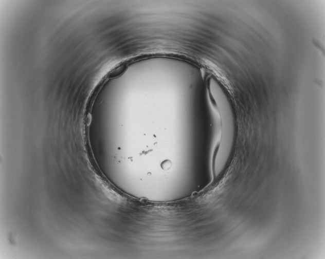 X0000096480942200802071916