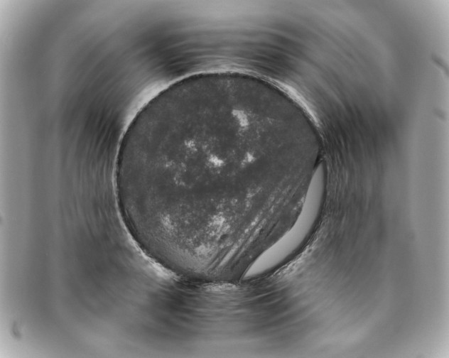 X0000096480943200802071916