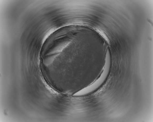 X0000096480944200802071916