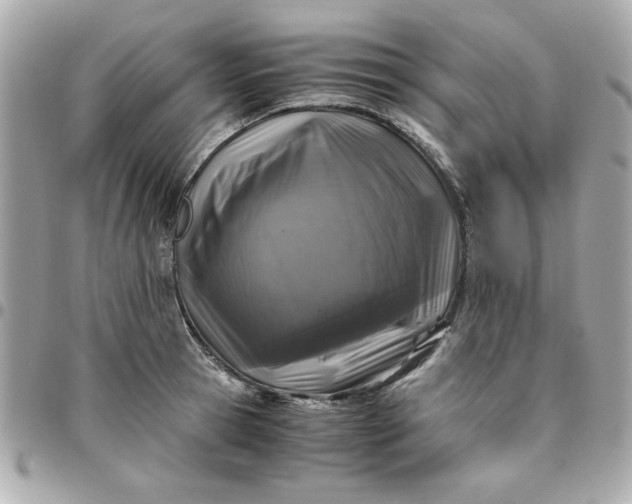 X0000096480945200802071916