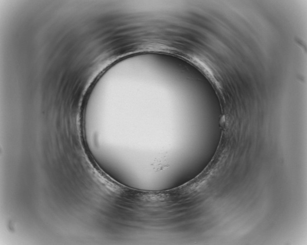 X0000096480947200802071916