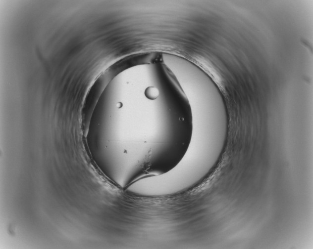 X0000096480948200802071916