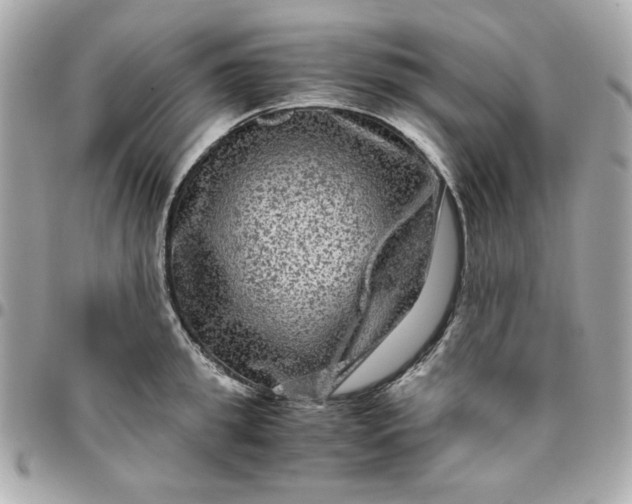 X0000096480949200802071916