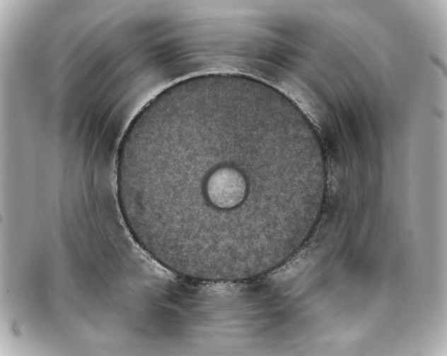 X0000096480950200802071916