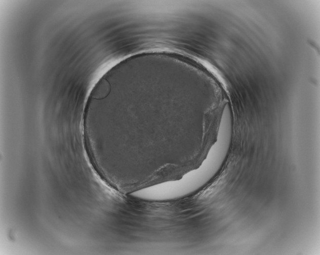 X0000096480951200802071916