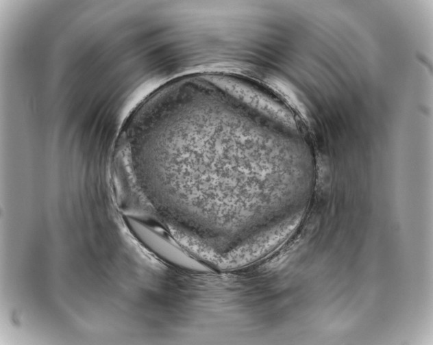 X0000096480952200802071916