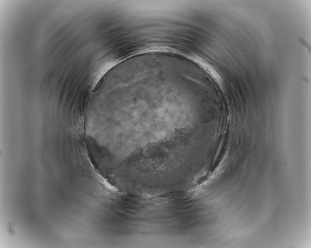 X0000096480953200802071916