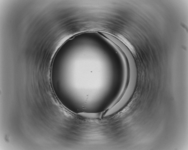 X0000096480956200802071916