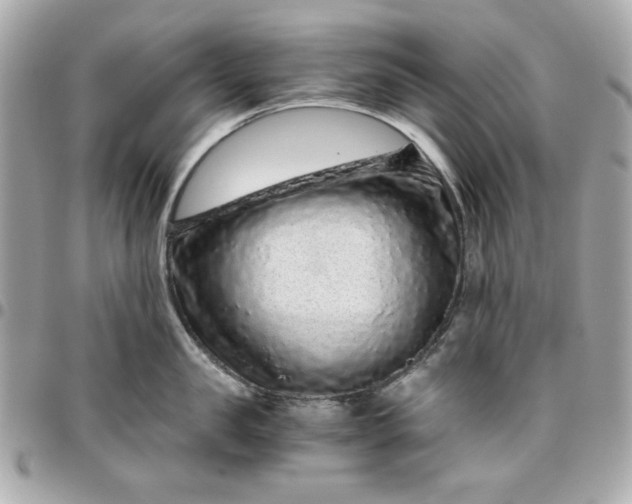 X0000096480957200802071916