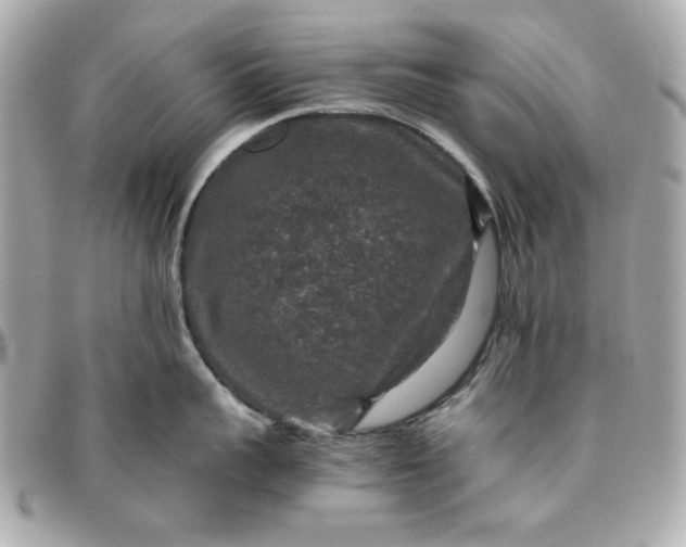 X0000096480959200802071916