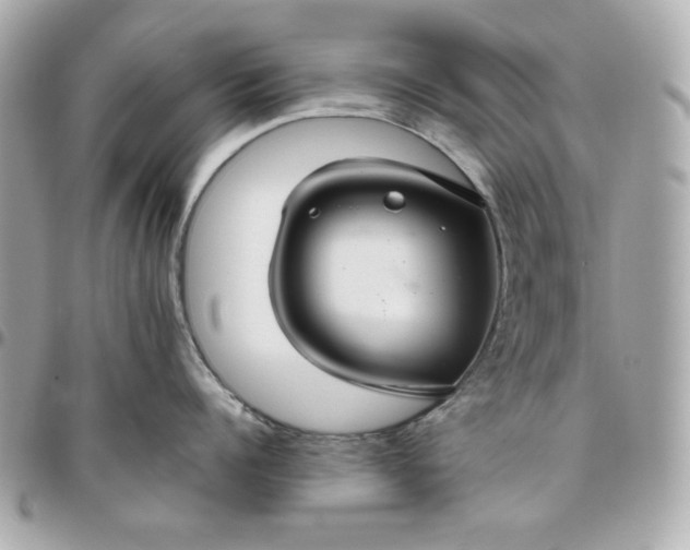 X0000096480960200802071916