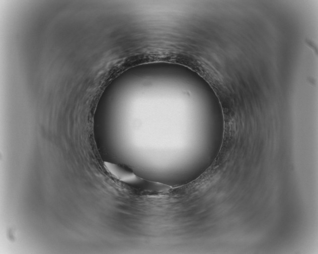 X0000096480961200802071916