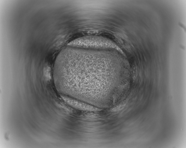 X0000096480962200802071916