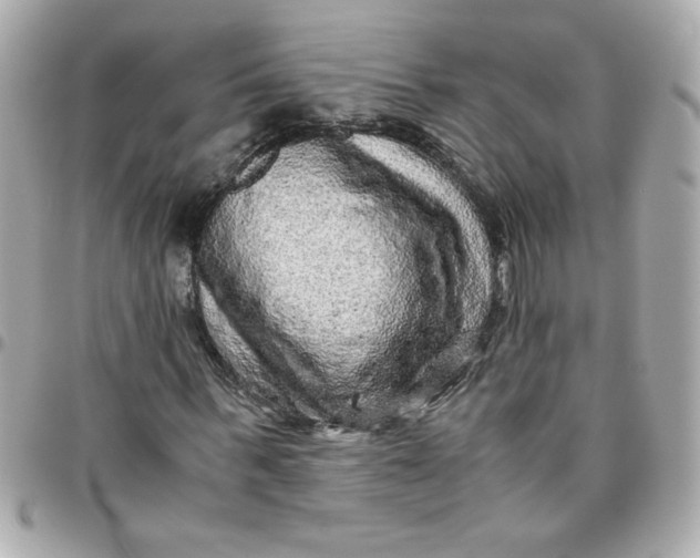 X0000096480963200802071916