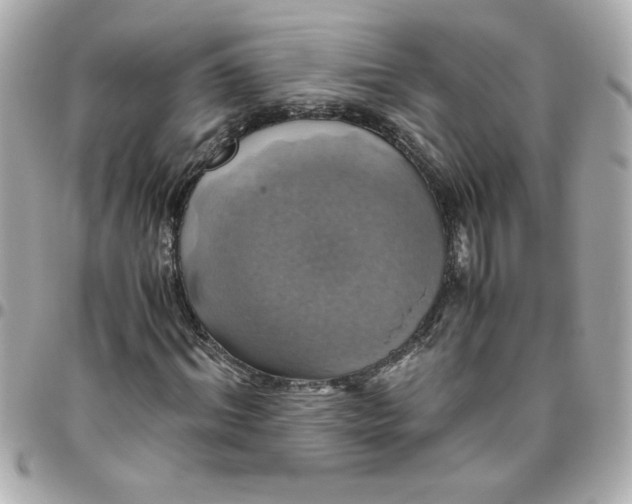 X0000096480964200802071916