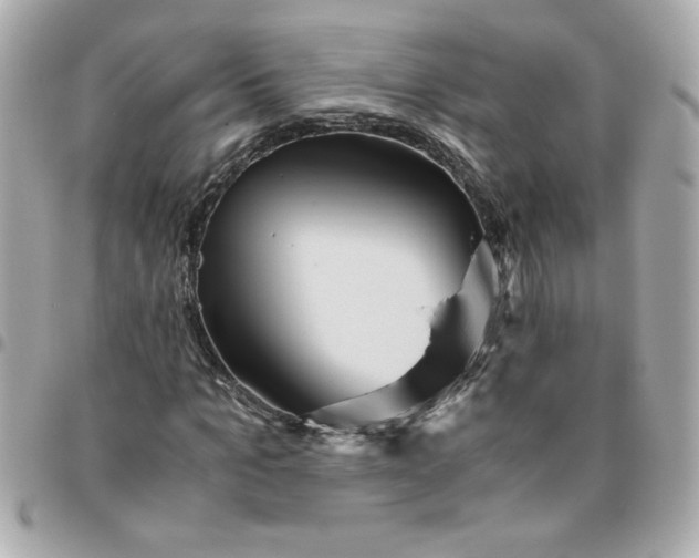 X0000096480965200802071916