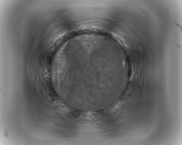 X0000096480966200802071916