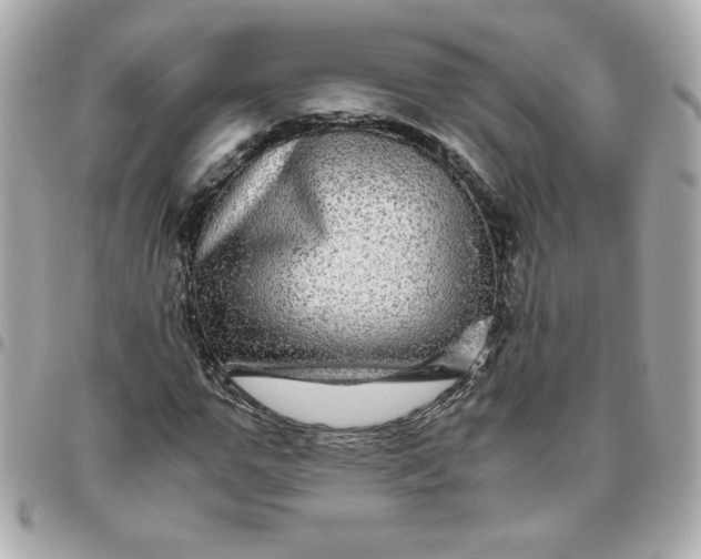 X0000096480967200802071916